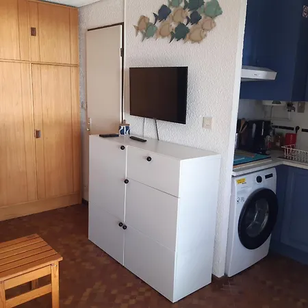 아파트 Avec Loggia, Garage Et Parking A Port - Fr-1-798-36